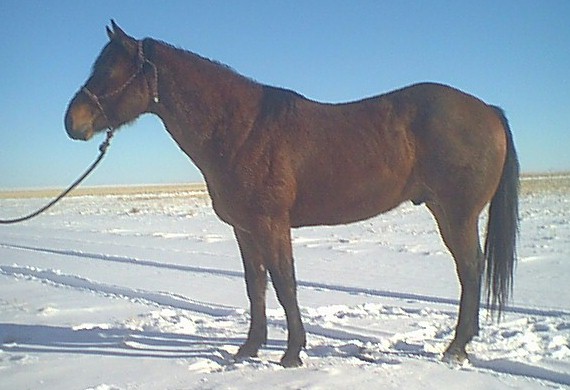 'Fly - Feb. 2003